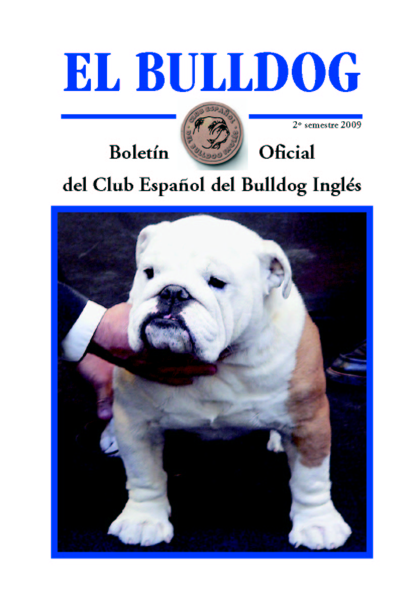 Boletin 16