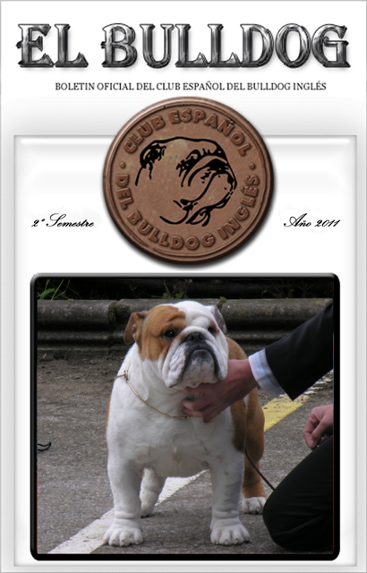 1º Semestre de 2010  - Ch. Meljane Bulldogs Iceman