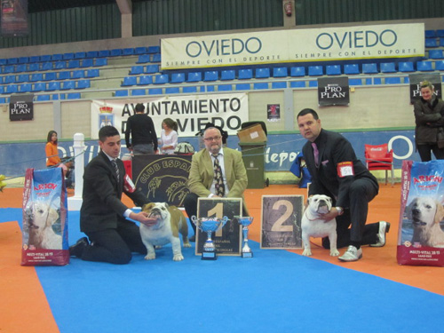 VI Exposición Monográfica de Asturias